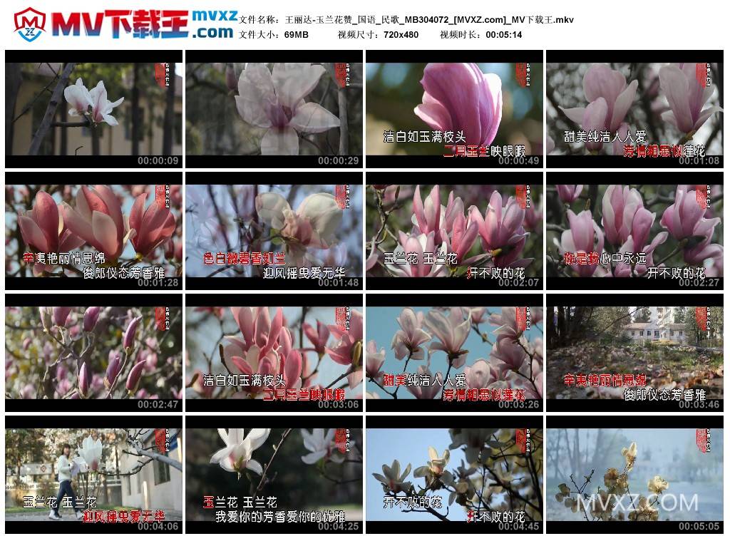 王丽达-玉兰花赞_国语_民歌_MB304072